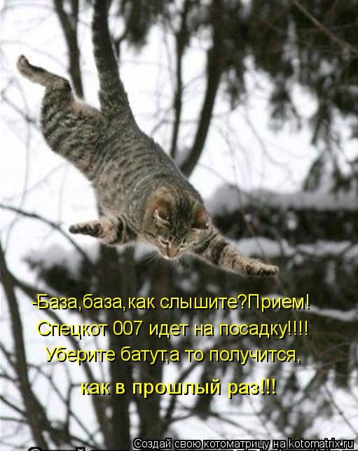 Котоматрица: -База,база,как слышите?Прием! Спецкот 007 идет на посадку!!!! Уберите батут,а то получится, как в прошлый раз!!!