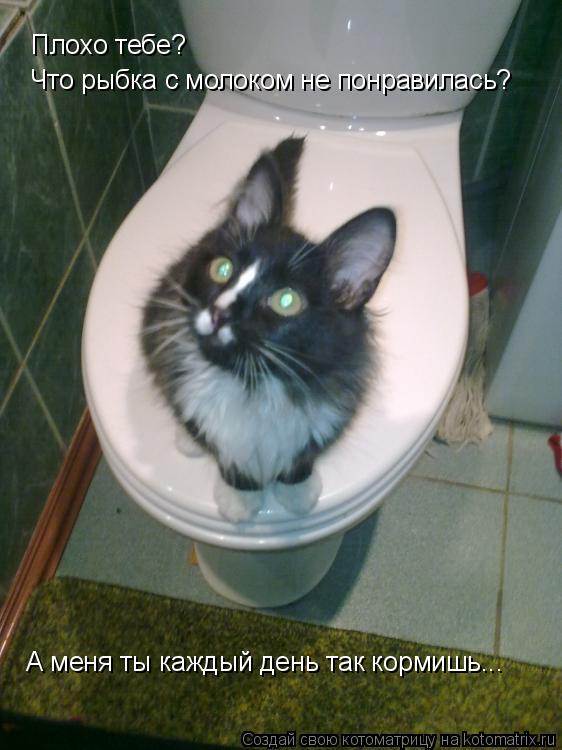 Котоматрица: Плохо тебе?  Что рыбка с молоком не понравилась? А меня ты каждый день так кормишь...