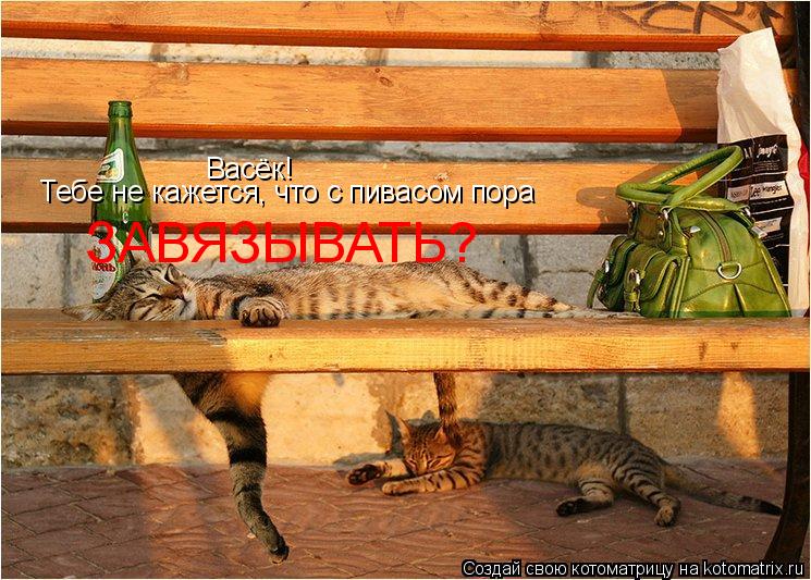Котоматрица: Васёк! Тебе не кажется, что с пивасом пора ЗАВЯЗЫВАТЬ?