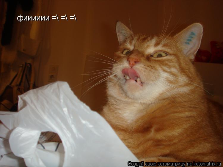 Котоматрица: фииииии =\ =\ =\