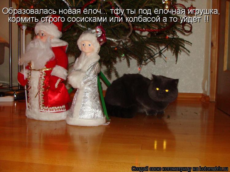 Котоматрица: Образовалась новая ёлоч... тфу ты под ёлочная игрушка, кормить строго сосисками или колбасой а то уйдёт  !!