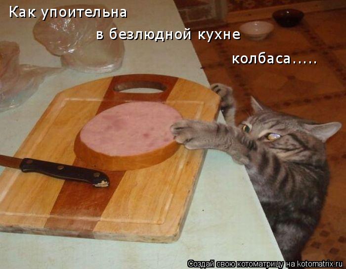 Котоматрица: Как упоительна в безлюдной кухне колбаса.....