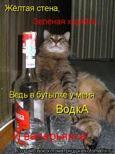 Котоматрица: Жёлтая стена, Зелёная хозяйка... Ведь в бутылке у меня ВодкА И валерьянка!
