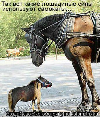 Котоматрица: Так вот какие лошадиные силы используют самокаты...
