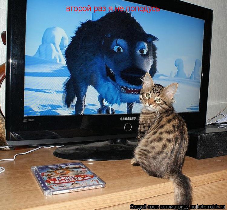 Котоматрица: второй раз я не поподусь