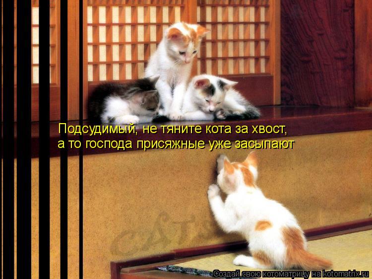 Котоматрица: Подсудимый, не тяните кота за хвост,  а то господа присяжные уже засыпают