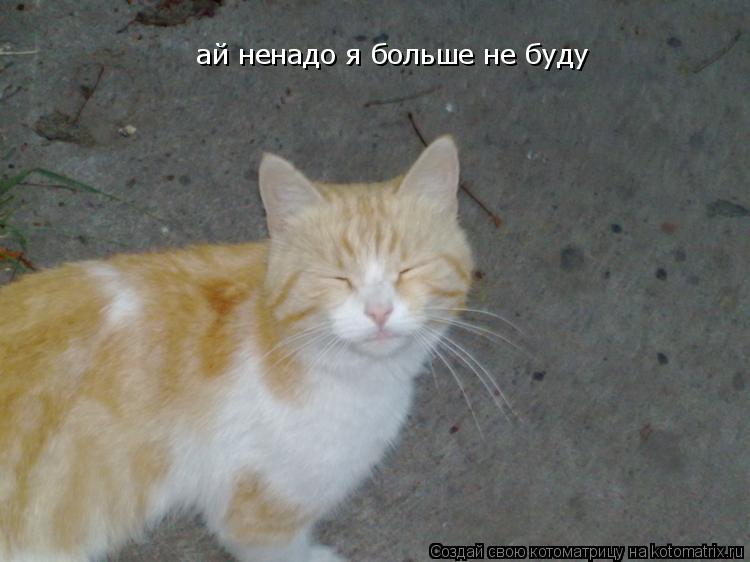 Котоматрица: ай ненадо я больше не буду