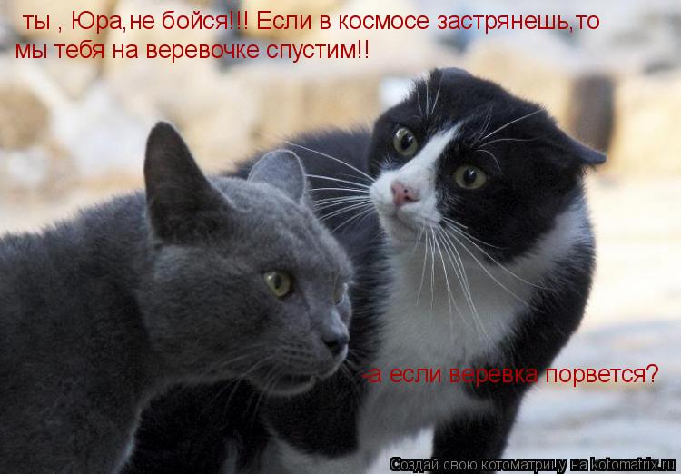 Котоматрица: ты , Юра,не бойся!!! Если в космосе застрянешь,то мы тебя на веревочке спустим!! -а если веревка порвется?