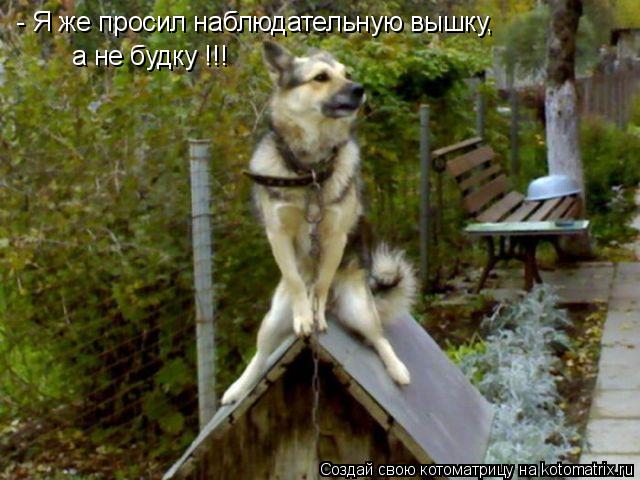 Котоматрица: - Я же просил наблюдательную вышку, а не будку !!!