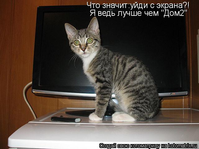 Котоматрица: Что значит:уйди с экрана?! Я ведь лучше чем "Дом2"