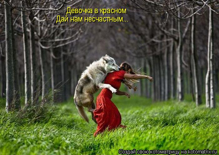 Котоматрица: Девочка в красном Дай нам несчастным...