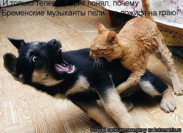 Котоматрица: И только теперь Шарик понял, почему Бременские музыканты пели" не ложися на краю!"
