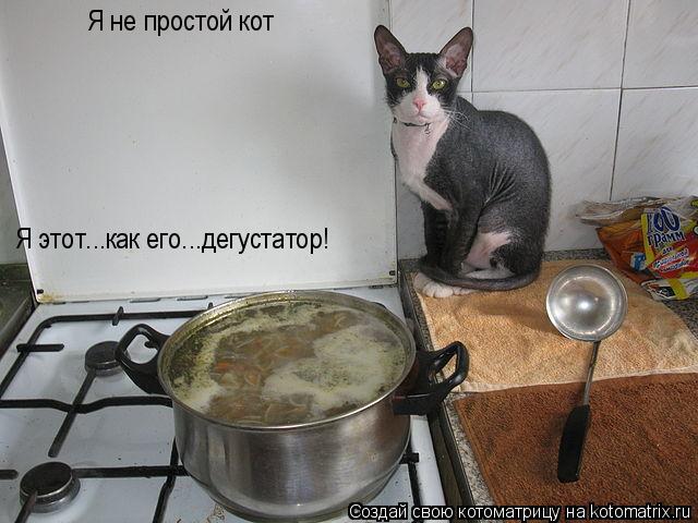 Котоматрица: Я не простой кот Я этот...как его...дегустатор!