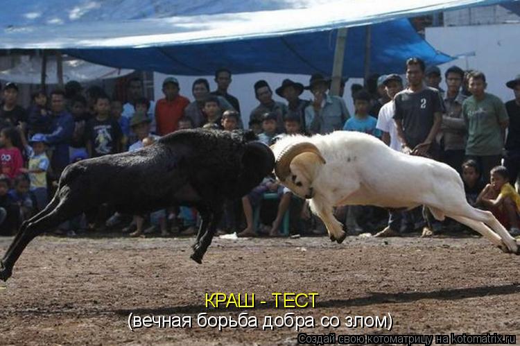 Котоматрица: КРАШ - ТЕСТ (вечная борьба добра со злом)