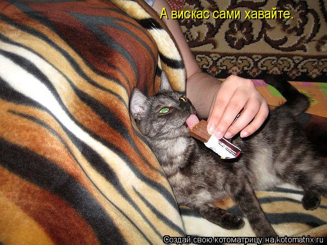 Котоматрица: А вискас сами хавайте.