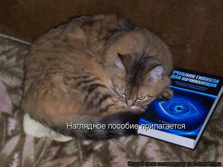 Котоматрица: Наглядное пособие прилагается