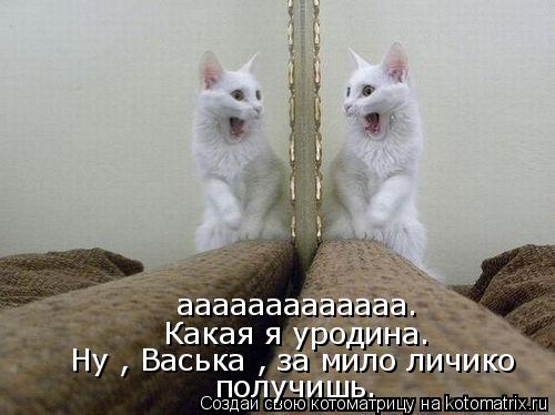Котоматрица: ааааааааааааа. Какая я уродина. Ну , Васька , за мило личико получишь.