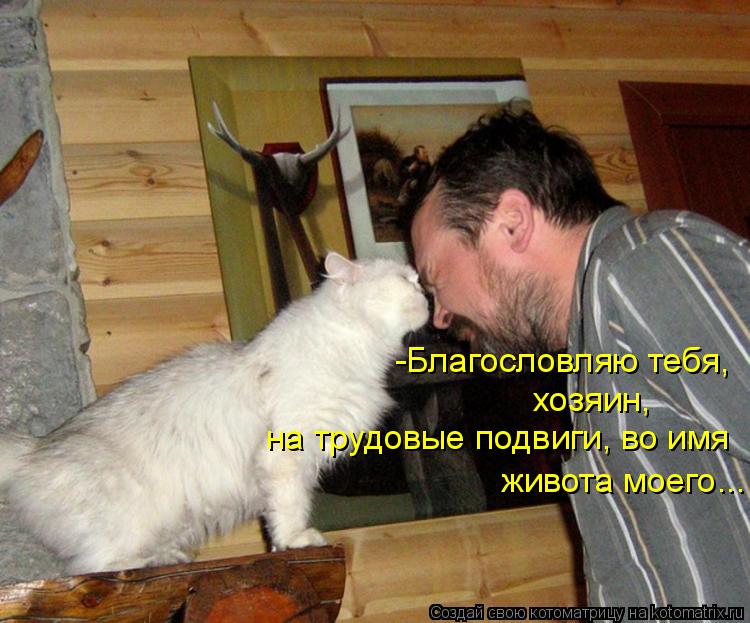 -Благословляю тебя, живота моего... на трудовые подвиги, во имя хозяин,... Котоматрица: -Благословляю тебя, живота моего... на трудовые подвиги, во имя хозяин,