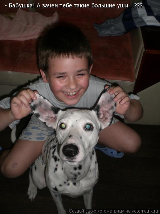 Котоматрица: - Бабушка! А зачем тебе такие большие уши...???