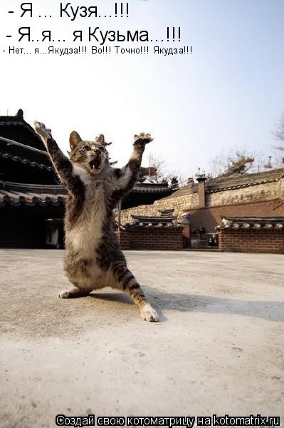 Котоматрица: - Я ... Кузя...!!! - Я..я... я Кузьма...!!! - Нет... я...Якудза!!! Во!!! Точно!!! Якудза!!!