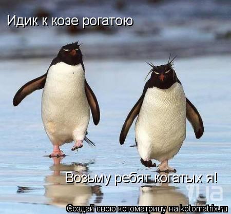 Котоматрица: Идик к козе рогатою  Возьму ребят когатых я!