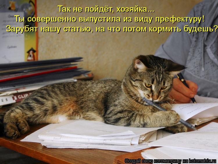 Котоматрица: Так не пойдёт, хозяйка... Ты совершенно выпустила из виду префектуру! Зарубят нашу статью, на что потом кормить будешь?