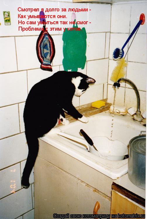 Котоматрица: Как умываются они. Смотрел я долго за людьми - Но сам умыться так не смог - Проблема с этим у котов.