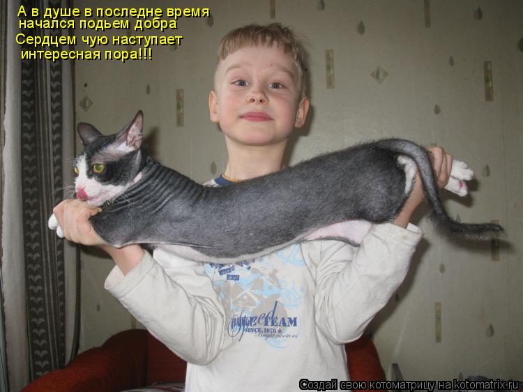 Котоматрица: А в душе в последне время начался подьем добра Сердцем чую наступает интересная пора!!!