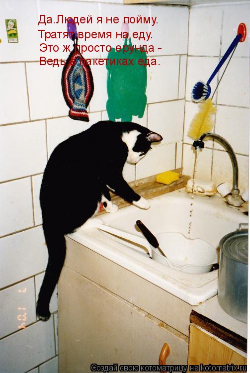 Котоматрица: Да.Людей я не пойму. Тратят время на еду. Это ж просто ерунда - Ведь в пакетиках еда.
