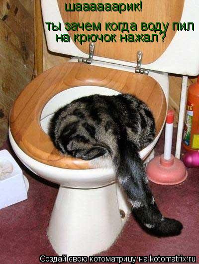 Котоматрица: шаааааарик! ты зачем когда воду пил на крючок нажал?