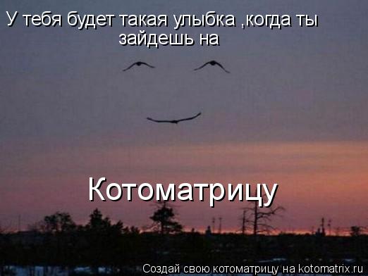 Котоматрица: У тебя будет такая улыбка ,когда ты  зайдешь на Котоматрицу