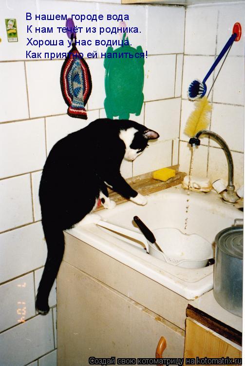 Котоматрица: В нашем городе вода К нам течёт из родника. Хороша у нас водица. Как приятно ей напиться!