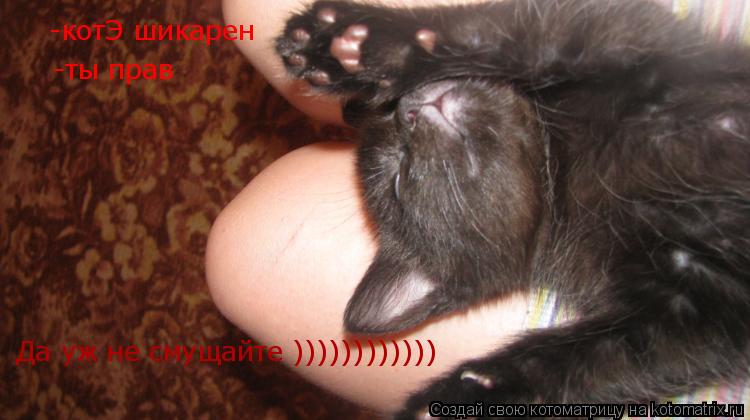 Котоматрица: Да уж не смущайте )))))))))))) котЭ шикарен -котЭ шикарен -ты прав