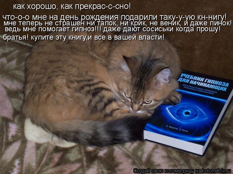 Котоматрица: как хорошо, как прекрас-с-сно! что-о-о мне на день рождения подарили таку-у-ую кн-нигу! мне теперь не страшен ни тапок, ни крик, не веник, и даже 