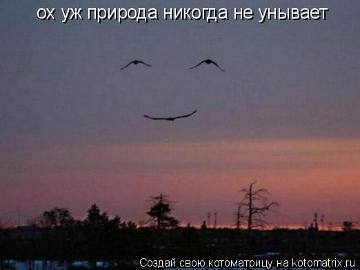 Котоматрица: ох уж природа никогда не унывает