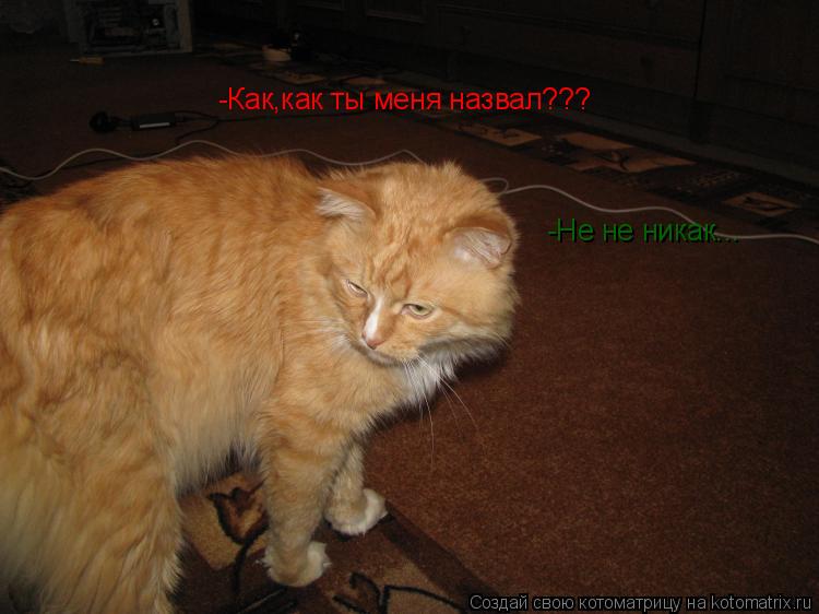 Котоматрица: -Как,как ты меня назвал??? -Не не никак...
