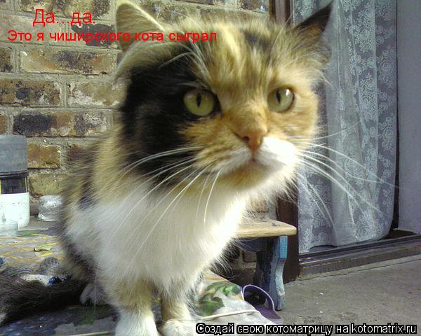 Котоматрица: Да...да. Это я чиширского кота сыграл