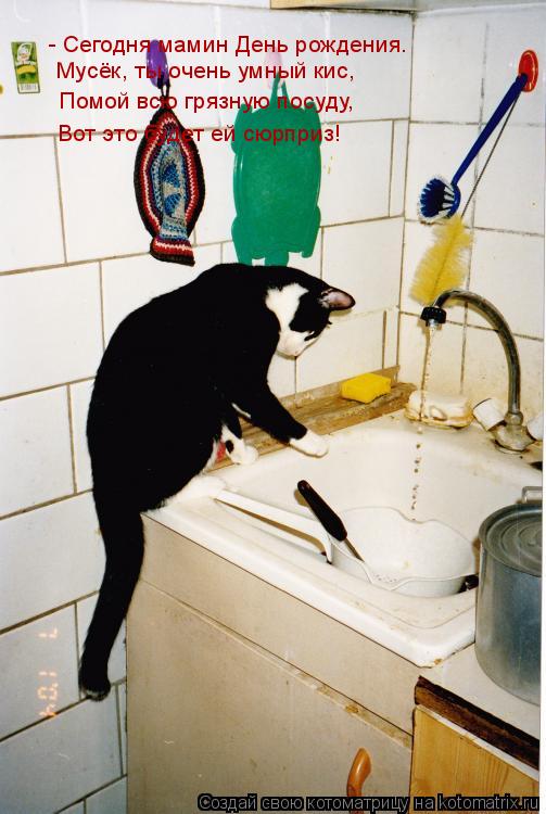 Котоматрица: - Сегодня мамин День рождения. Помой всю грязную посуду, Вот это будет ей сюрприз! Мусёк, ты очень умный кис,