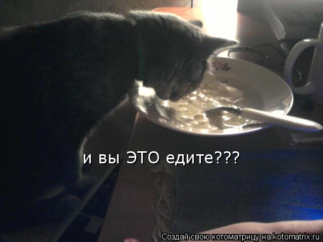 Котоматрица: и вы ЭТО едите???