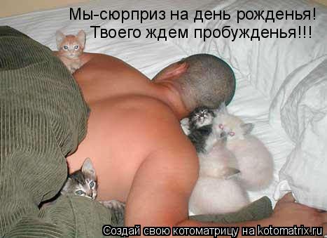 Котоматрица: Мы-сюрприз на день рожденья! Твоего ждем пробужденья!!!