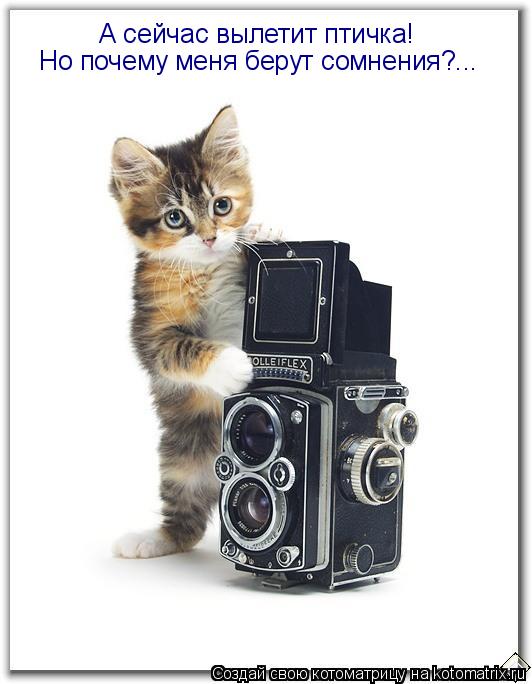 Котоматрица: А сейчас вылетит птичка! Но почему меня берут сомнения?...