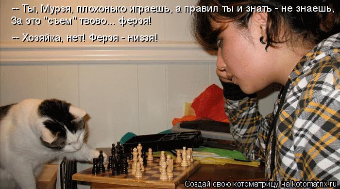 Котоматрица: -- Ты, Мурзя, плохонько играешь, а правил ты и знать - не знаешь, За это "съем" твово... ферзя! -- Хозяйка, нет! Ферзя - низзя!