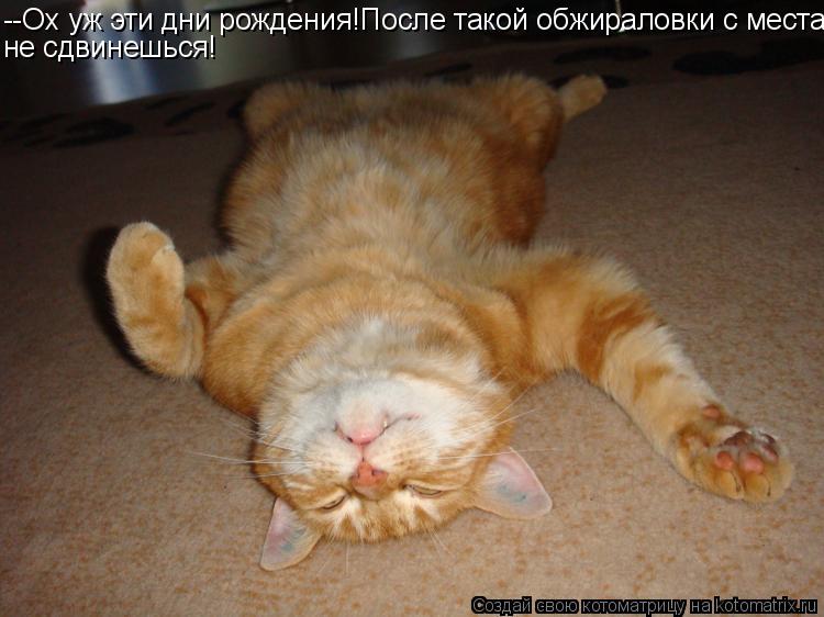 Котоматрица: --Ох уж эти дни рождения!После такой обжираловки с места не сдвинешься!