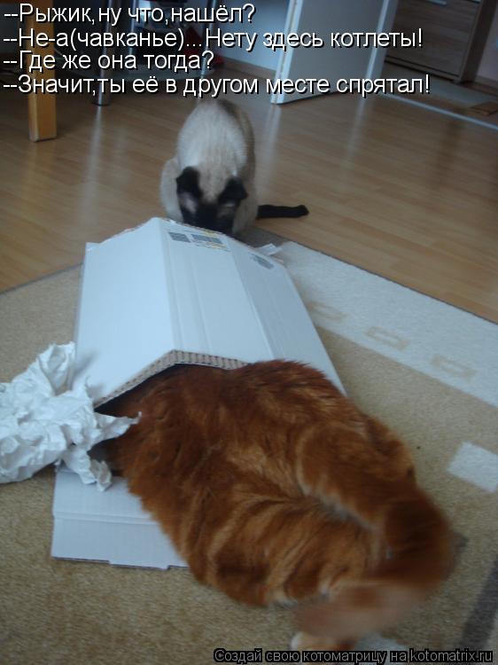 Котоматрица: --Рыжик,ну что,нашёл? --Не-а(чавканье)...Нету здесь котлеты! --Где же она тогда? --Значит,ты её в другом месте спрятал!
