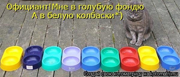 Котоматрица: Официант!Мне в голубую фондю А в белую колбаски*)