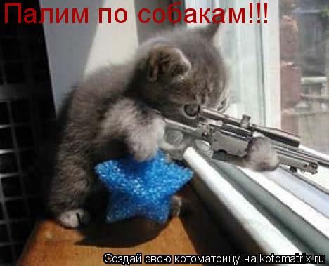 Котоматрица: Палим по собакам!!!