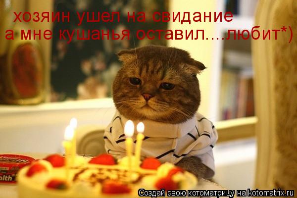 Котоматрица: хозяин ушел на свидание  а мне кушанья оставил....любит*)