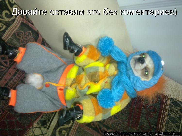 Котоматрица: Давайте оставим это без коментариев)