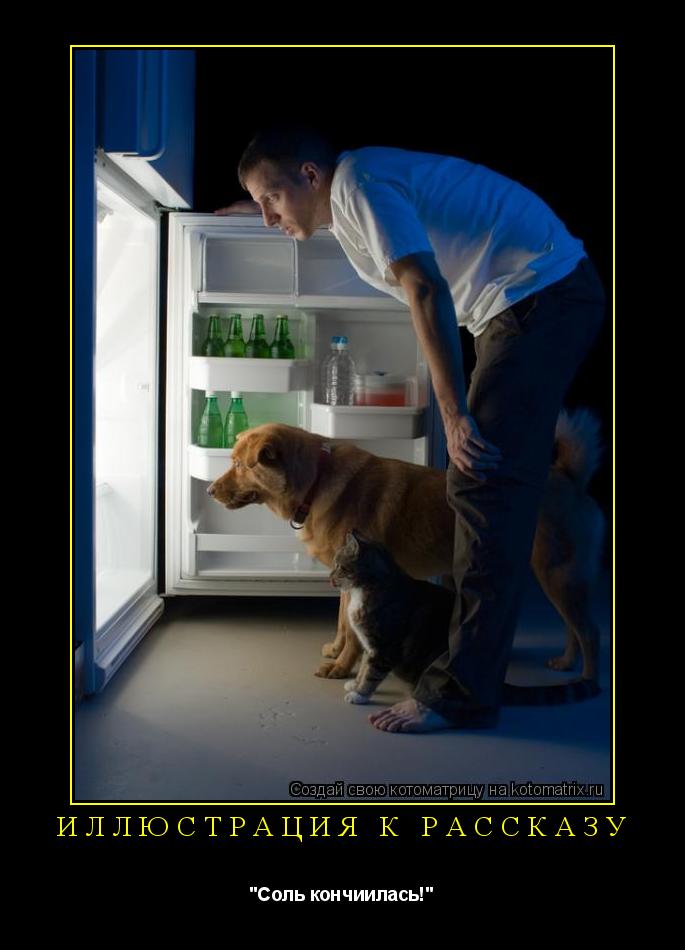 Котоматрица: Иллюстрация к рассказу "Соль кончиилась!"