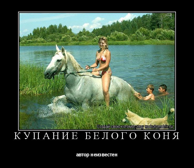 Котоматрица: Купание белого коня автор неизвестен